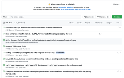 Example Issue List from Ruby on Rails Project