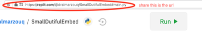 Share the Multiplayer Repl URL